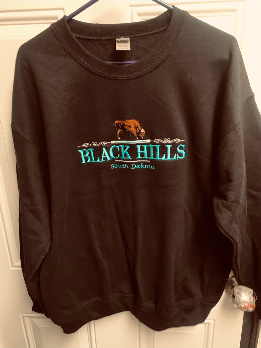 Gildan Black Crewneck Sweatshirt with Teal Black Hills Logo